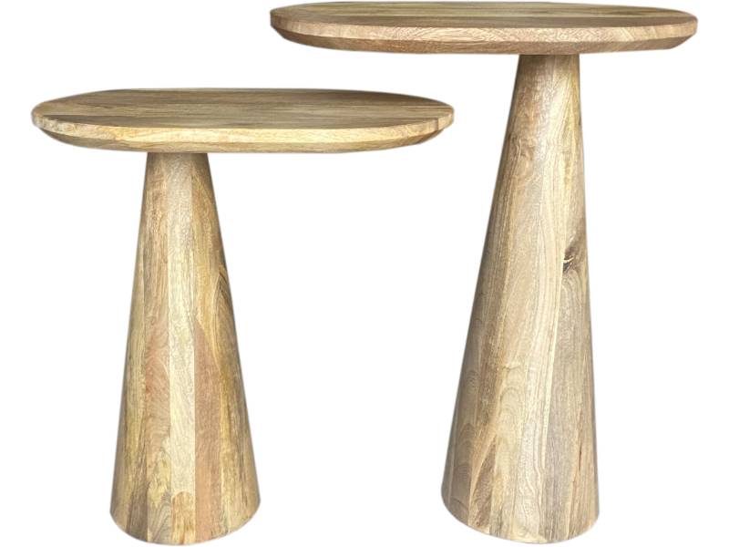 Wooden Sofa Side Table Set of 2