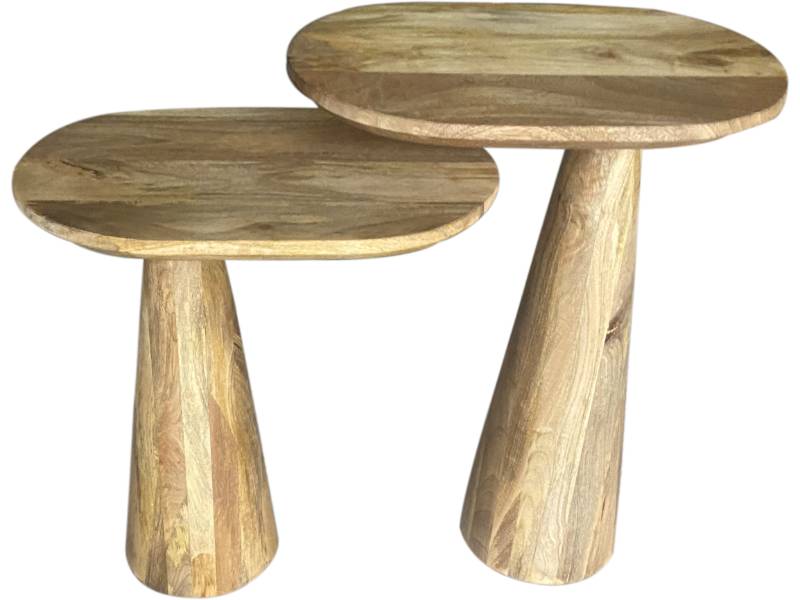 Wooden Sofa Side Table Set of 2